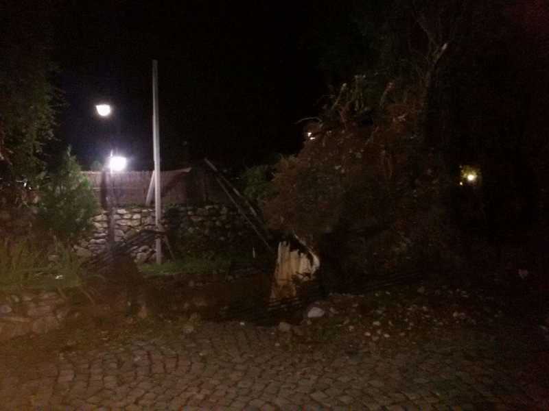 received_1675707626088029