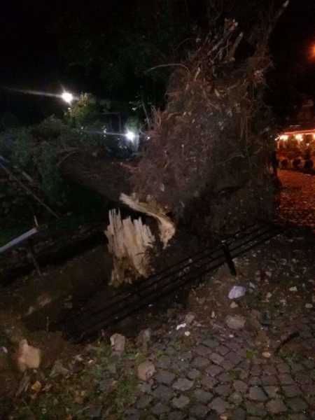 received_1675707642754694