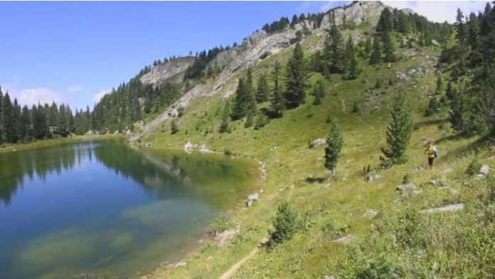 aa
