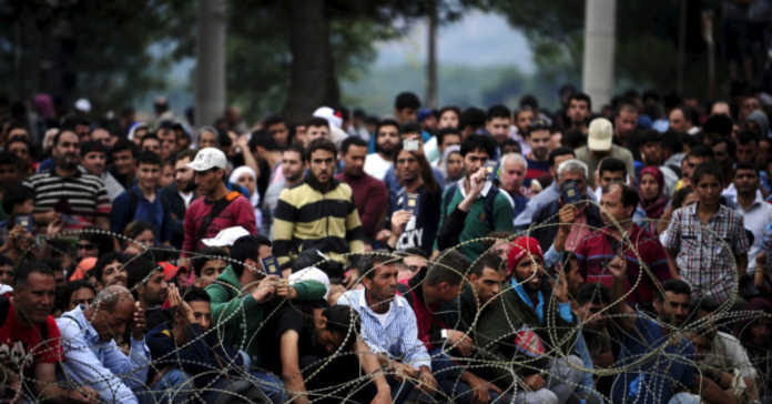 Migrants wait at Greece's border with Macedonia, hoping to enter Gevgelija, Macedonia