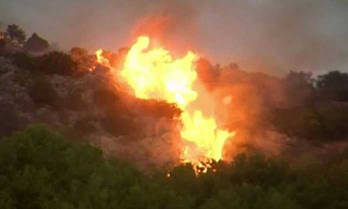 aa