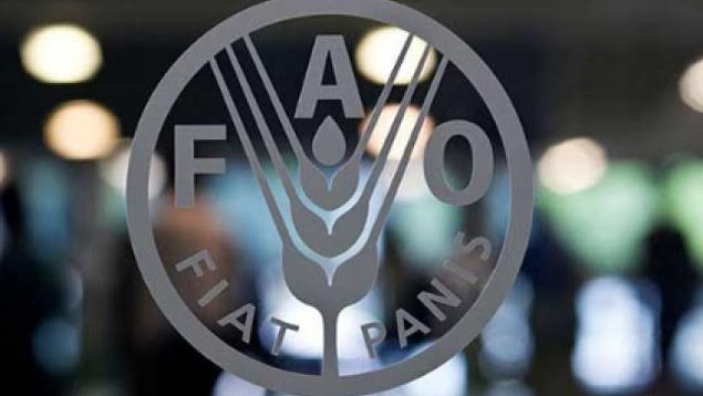 fao-635x358