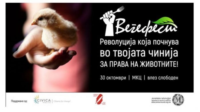 vegefest-780x439