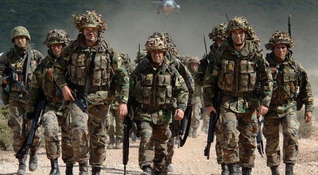 forcat-e-nato-s-650x358