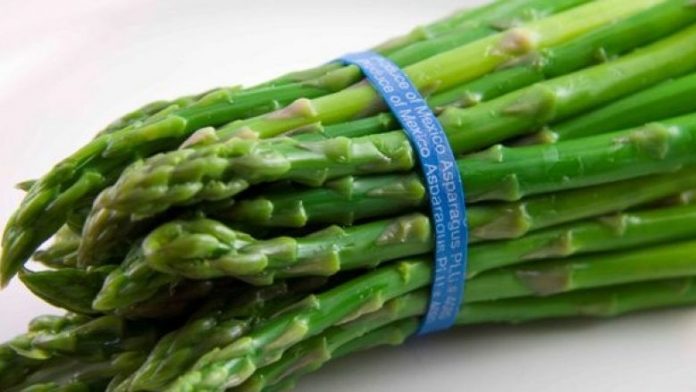 Arrest-për-serbin-nga-grupi-kriminal-qe-barten-dy-ton-kokaine-te-fshehur-ne-kuti-si-asparagus-foto-780x439