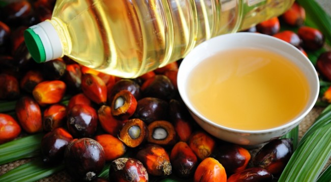 Palm_Oil-650x358
