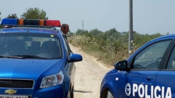 Policia-shqiptare-1-620x358-780x439