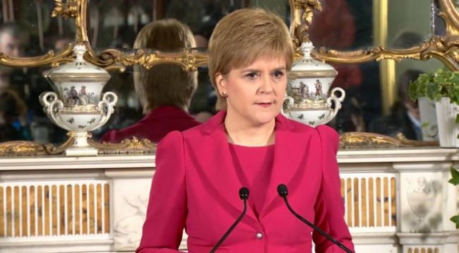 95130799_sturgeon_standing-1-650x358