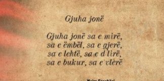 Turqia nis përgatitjet e teksteve shkollore për lëndën e gjuhës shqipe