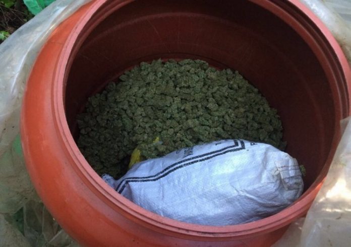 auto_Shkoder-Droga11491930680