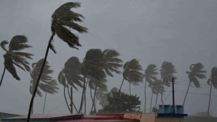 irma-fl-780x439