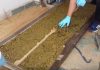 Momenti kur Policia e Kosovës gjen 135 kilogramë drogë në brendësi të dyerve (Video)