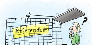 Kurthi i rrezikshëm i Hashim Thaçit me referendum