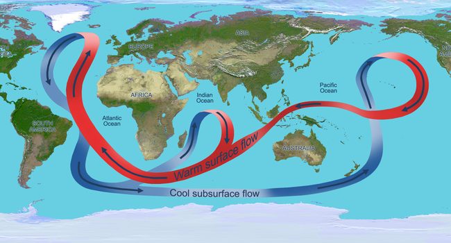 BEEB76DD-2676-48FF-A051-973E04F1F3FC-650x350