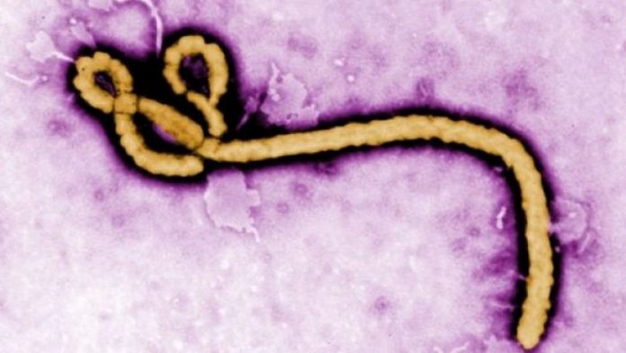 obsh-ebola-emergjenc-euml-e-sh-euml-ndetit-publik_hd-780x439