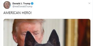 Trump nderon me medalje qenin hero që “vrau” Al Baghdadin