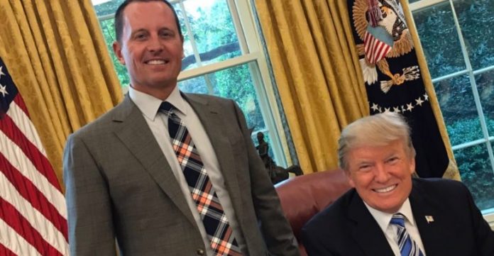 Richard-Grenell-and-Trump-Oval-Office-862x485-1-780x405