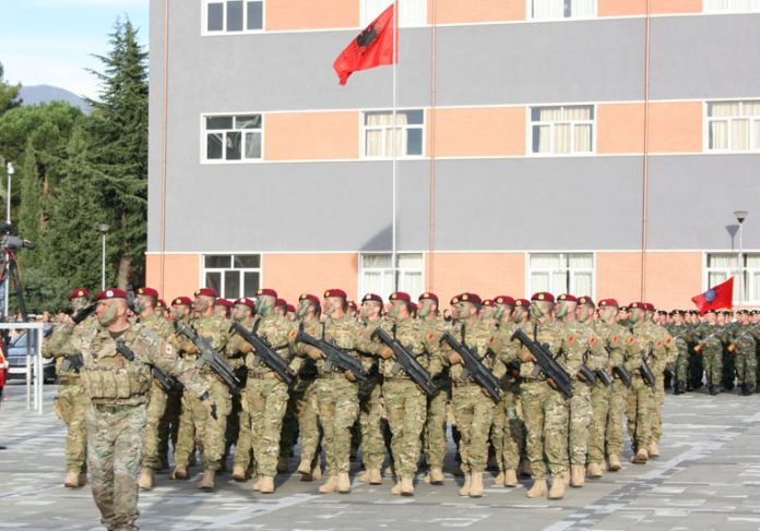 forcat-e-armatosura (1)