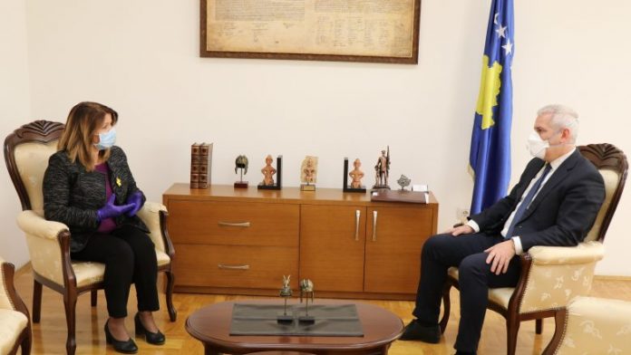 Pamje-nga-takimi-2-06.2020-780x439