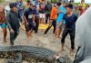 Ishte duke peshkuar në një lumë – gruaja nga Indonezia sulmohet nga një krokodil, banorët e fshatit gjejnë gjymtyrët brenda trupit të krokodilit