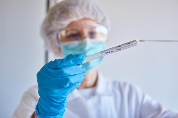 coronavirus_diagnostic-test-database_adobestock_334179763_robert_kneschke
