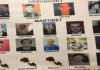 Bëhen 22 vjet nga masakra e Stagovës së Kaçanikut